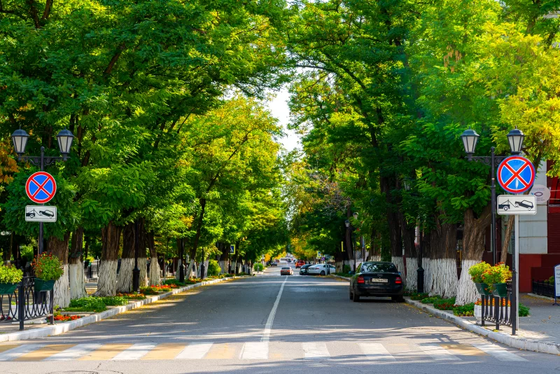 Дорожный знак «Остановка запрещена». Уютная городская улица или переулок