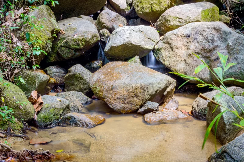 Ручей в джунглях, текущий по покрытым мхом камням