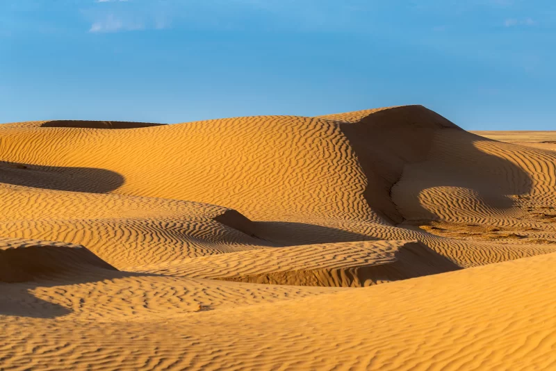 Золотые дюны пустыни на закате