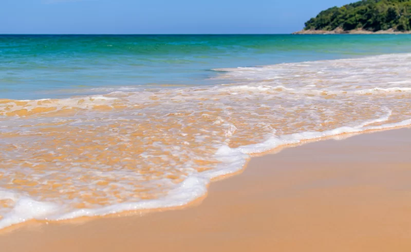 Тропический пляж: волны на золотистом песке