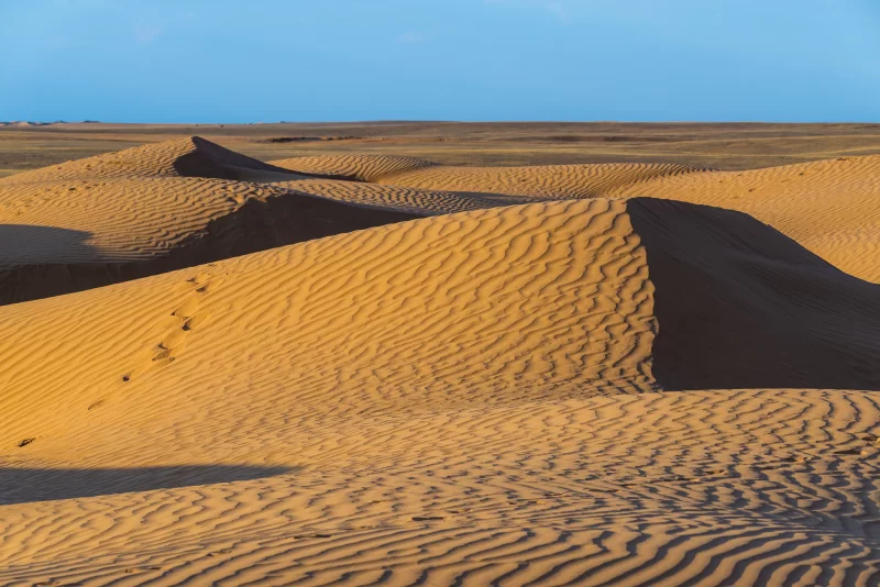 Пустынные дюны в золотом свете заката