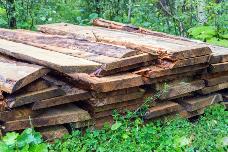 Стог дров в лесу: природный фон для деревенских сцен