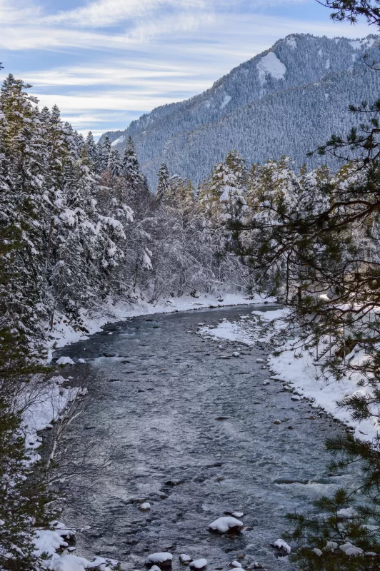 Winter river in a snowy forest