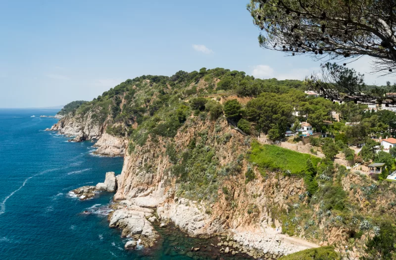 Вид на скалистый берег с Медитерранеем