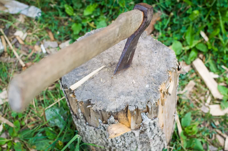 Топор в пне: заготовка дров