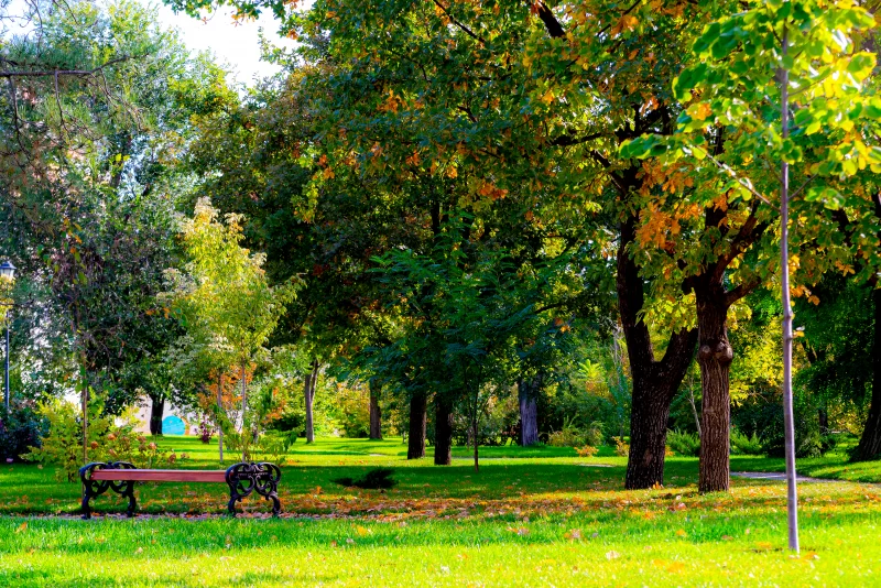 Деревья с осенней листвой и скамейка в парке