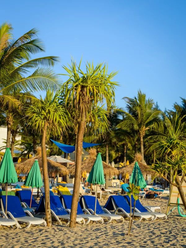 Тропический пляжный курорт с пальмами и синими шезлонгами