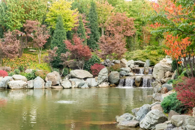 Осенний сад с водопадом и прудом