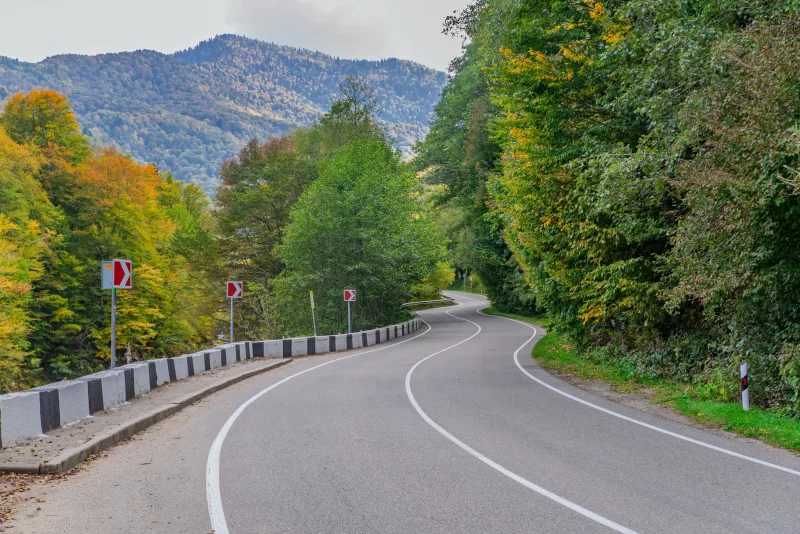 Поворотная горная дорога в осеннем лесу