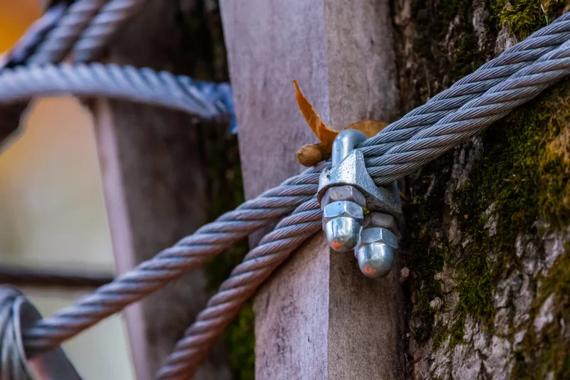 Крепление стального троса к дереву: крупный план