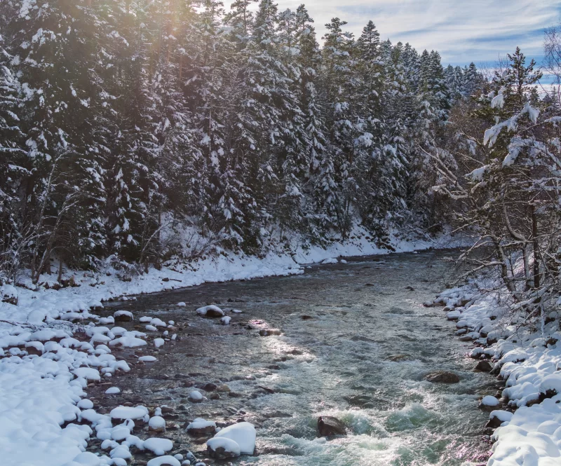 Зимняя река в заснеженном лесу