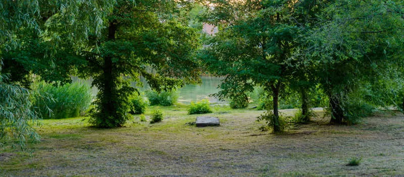 Пейзаж с рекой и деревьями