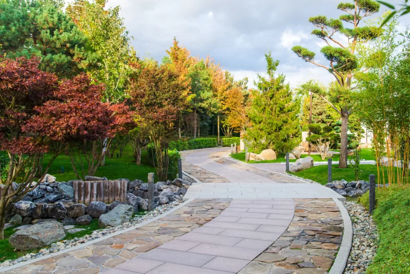 Красивая парковая дорожка в парке Галицкого