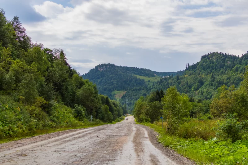 Живописная горная дорога, уходящая в зеленые леса