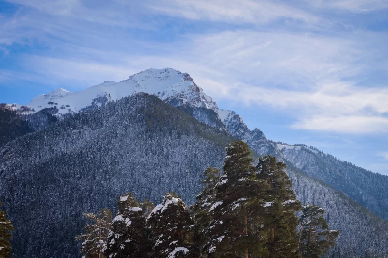 Заснеженные горы и ели на фоне голубого неба