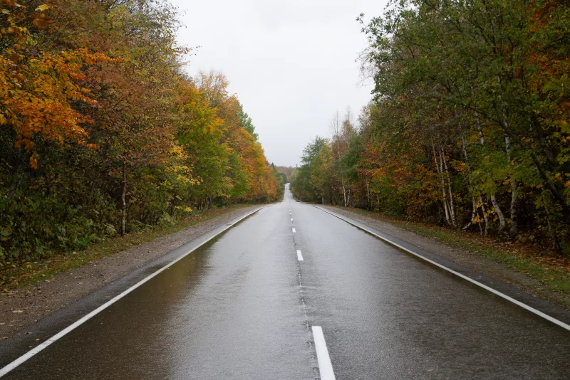 Пустая мокрая дорога через осенний лес