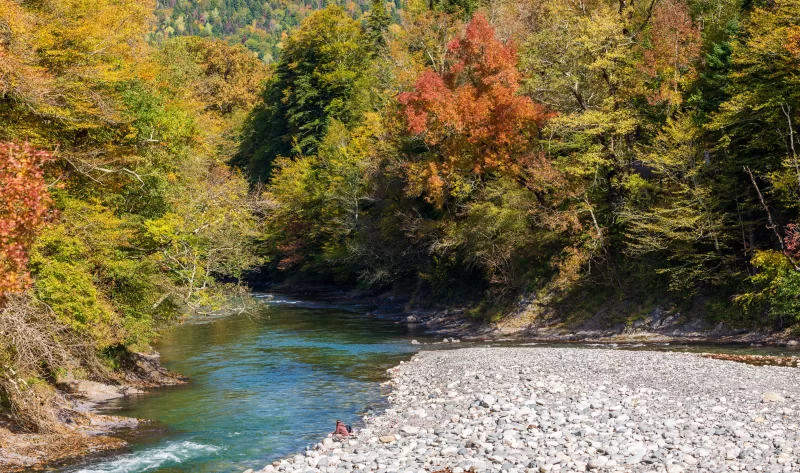 Река в Адыгее осенью с яркими лесными красками