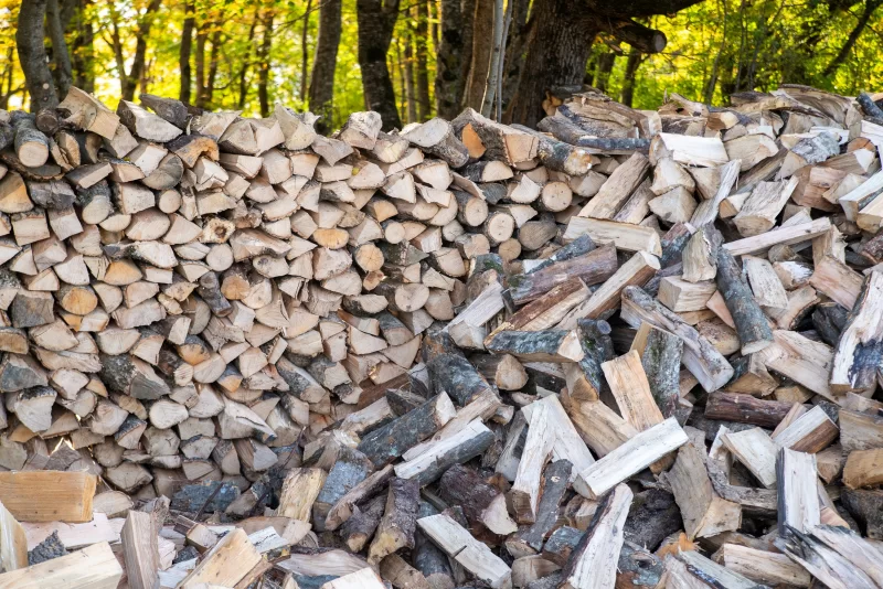 Stacked firewood with forest background