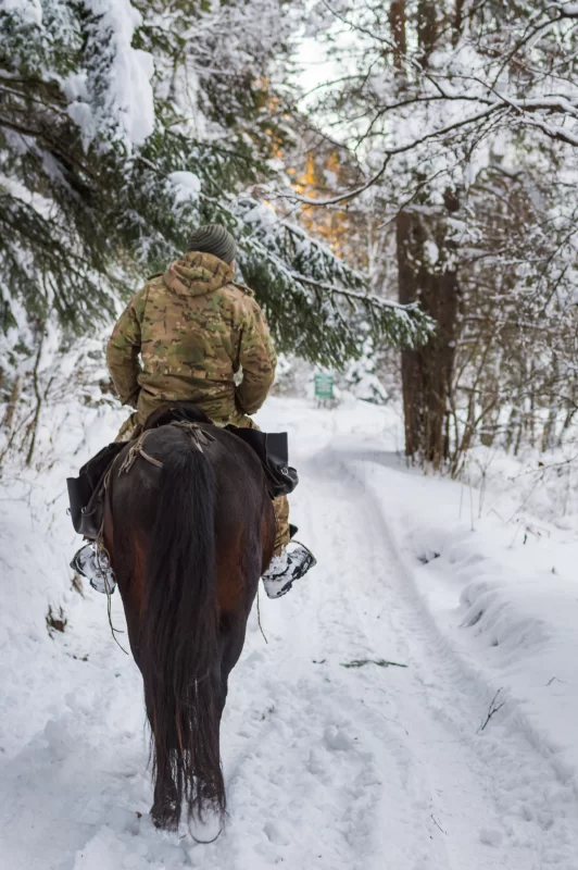Winter Journey: Rider in a Snowy Forest