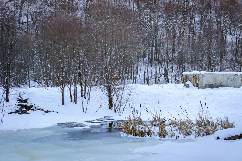 Зимний пейзаж: таяние льда на реке среди заснеженного леса