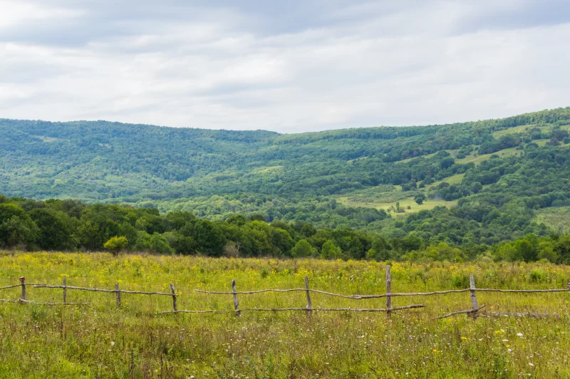 Летний пейзаж с деревянным забором и зелеными холмами