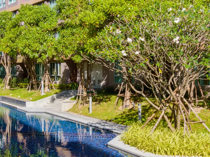 Оазис у бассейна роскошного курортного отеля с изобилием зелени