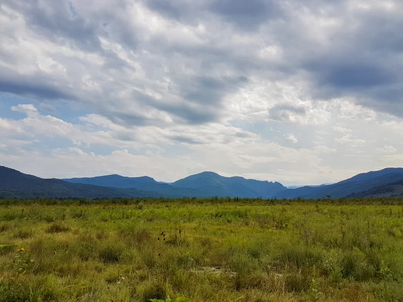 Summer landscape: vast field and majestic mountains