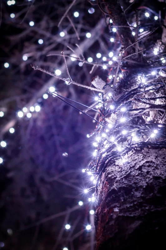 Фиолетовые гирлянды