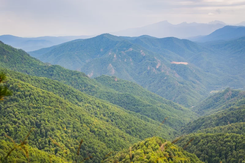 Зеленые горы и долины