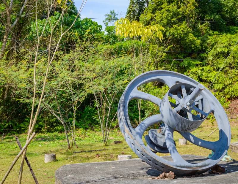 Ржавое промышленное колесо в густом зеленом лесу