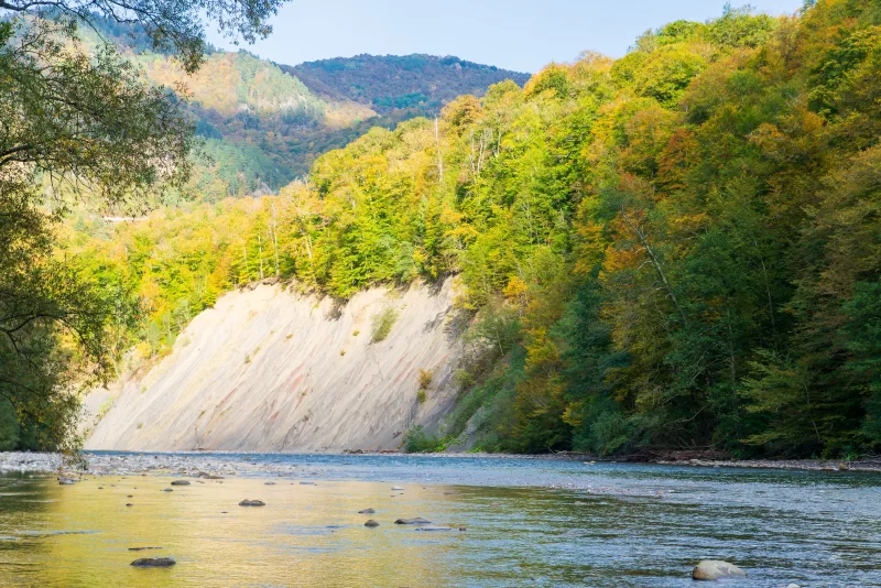 Горная река и осенний лес: живописный пейзаж