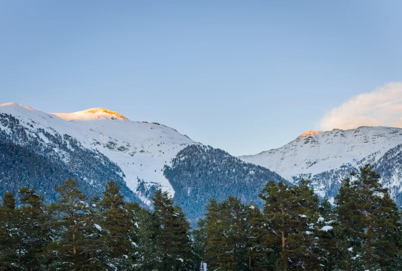 Величественный зимний горный пейзаж на рассвете с заснеженными вершинами и соснами