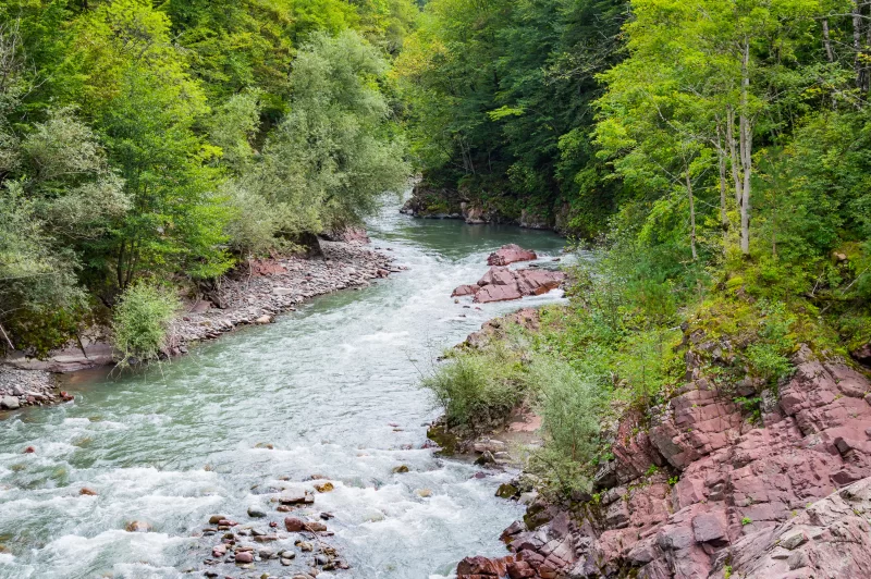Горная река в лесу
