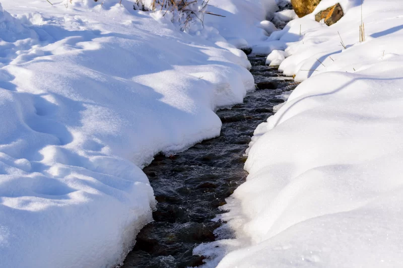 Ручей в зимнем лесу