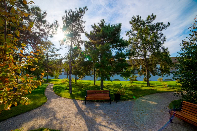 Осенний парк: Свет и Тень