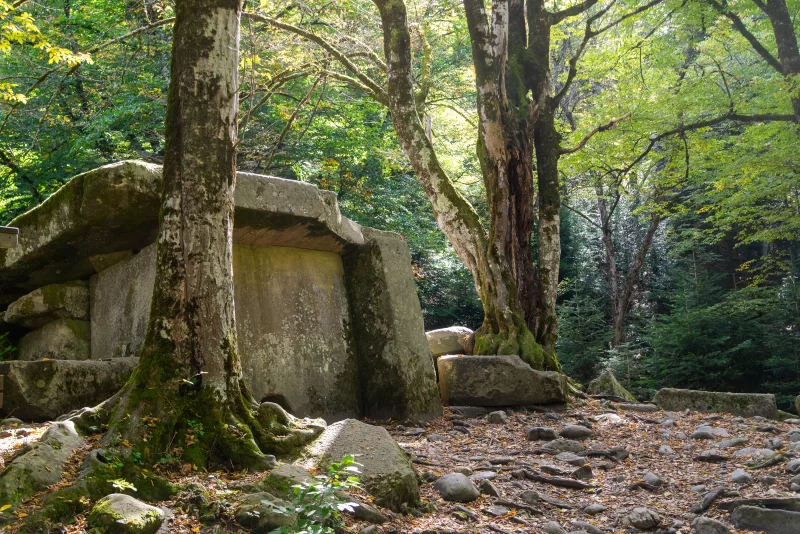 Старинный долмен в лесу Адыгея
