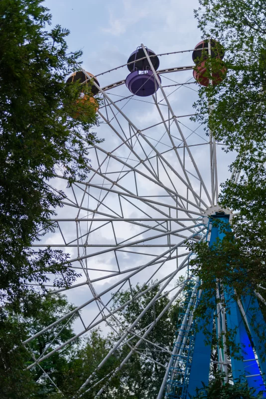 Колесо обозрения за деревьями в парке