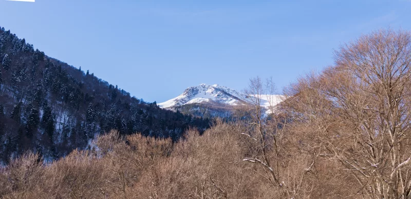 Зимние горы и лес