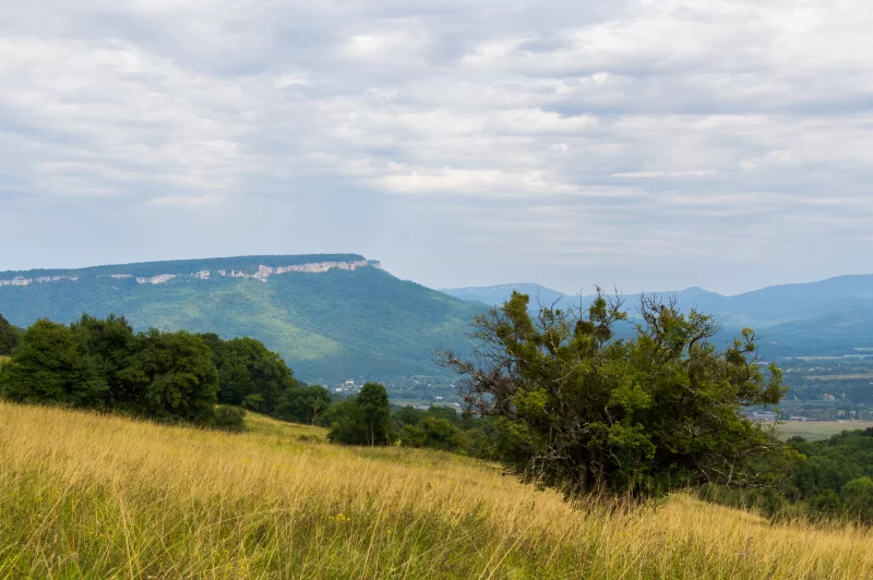 Величественный горный пейзаж с долиной и пышным лесом