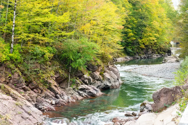 Река в осенний лес