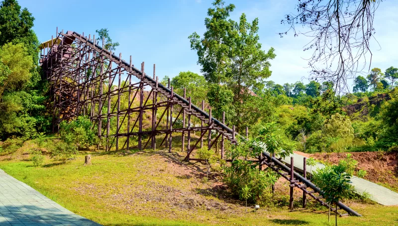 Деревянная конструкция конвейера в зеленом лесу