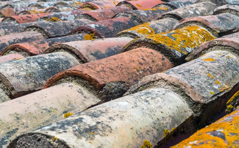 Старые черепичные крыши с мохом