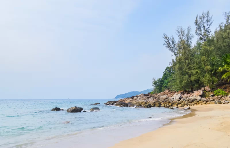 Тропический рай — пляж Банана