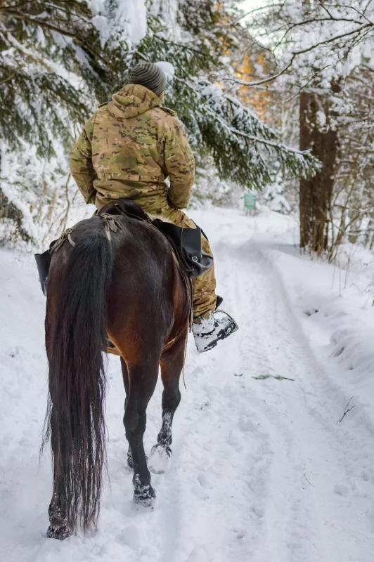 Зимняя конная прогулка по заснеженному лесу