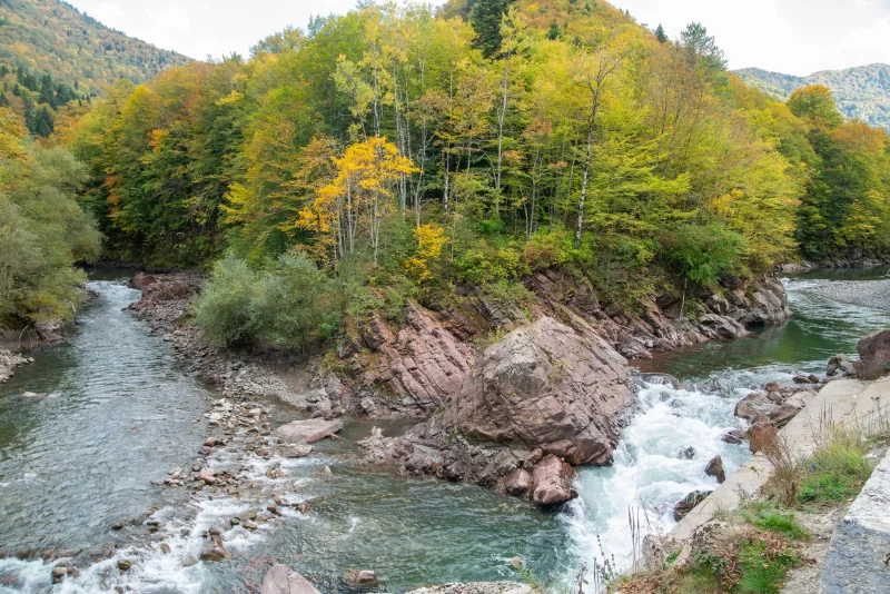 Горная река осенью: мощь природы