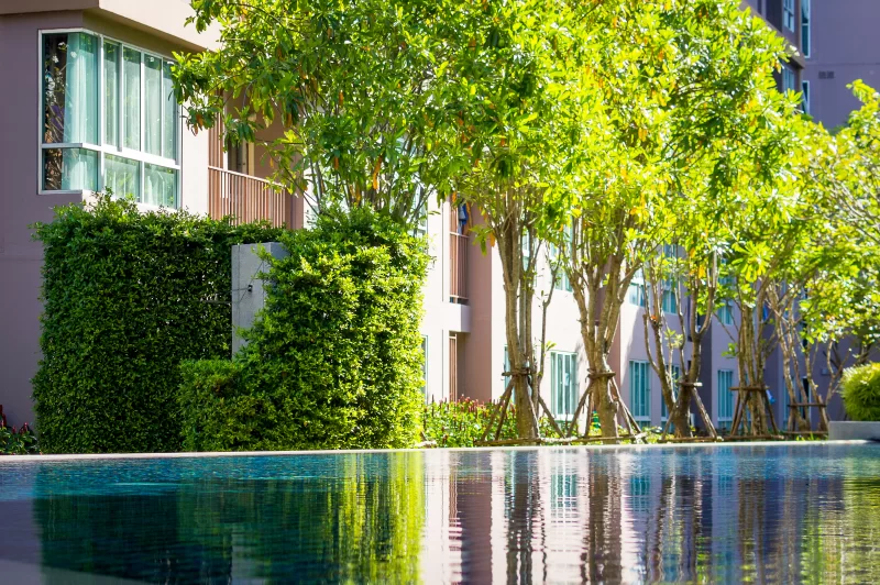 Серенитет у бассейна с пышной зеленью и современной архитектурой