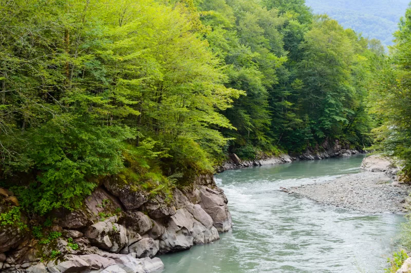 Горная река, бурлящая среди густого зеленого леса и скалистых берегов