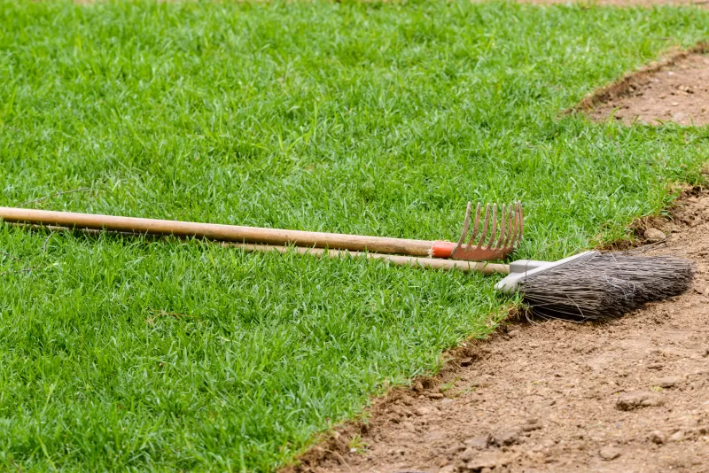 Инструменты, грабли и метла на газоне