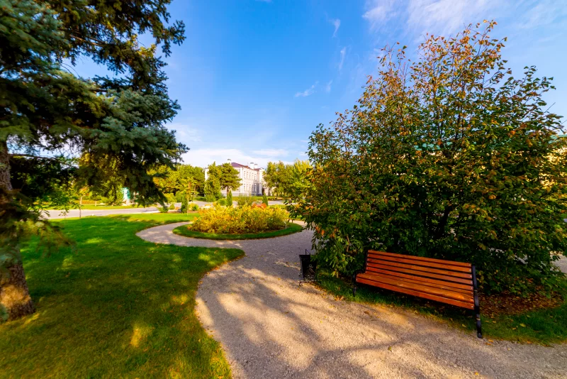 Клумбы, дорожка и декоративная ваза в саду