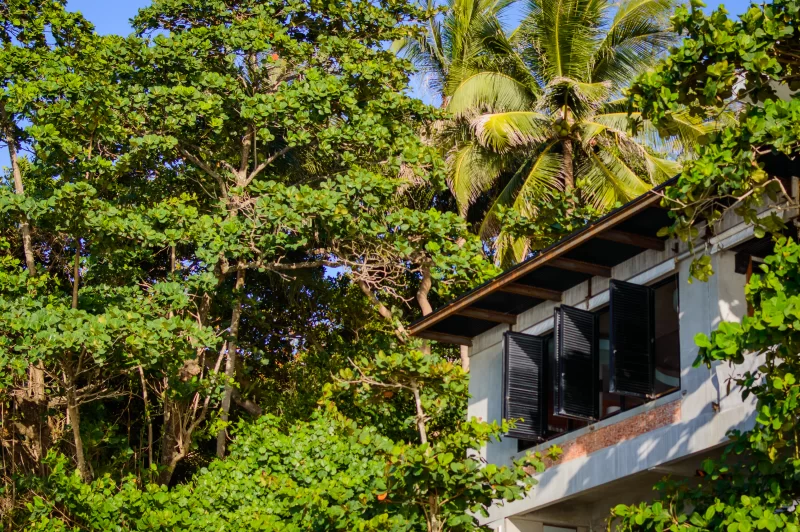 Современный дом, утопающий в тропической зелени